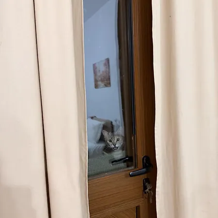 招待所 Economy With Balcony Sofia Durrës