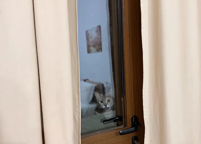 Gasthof Economy With Balcony Sofia Durrës